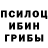 Галлюциногенные грибы Magic Shrooms DarthDio