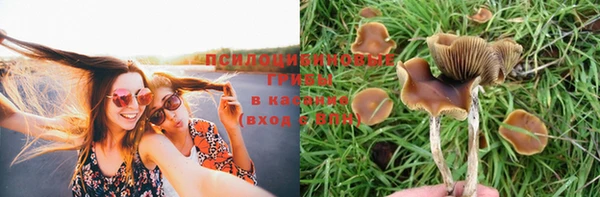 каннабис Вязьма
