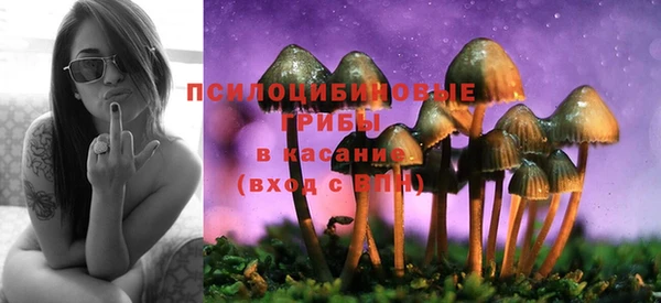 МДПВ Волосово